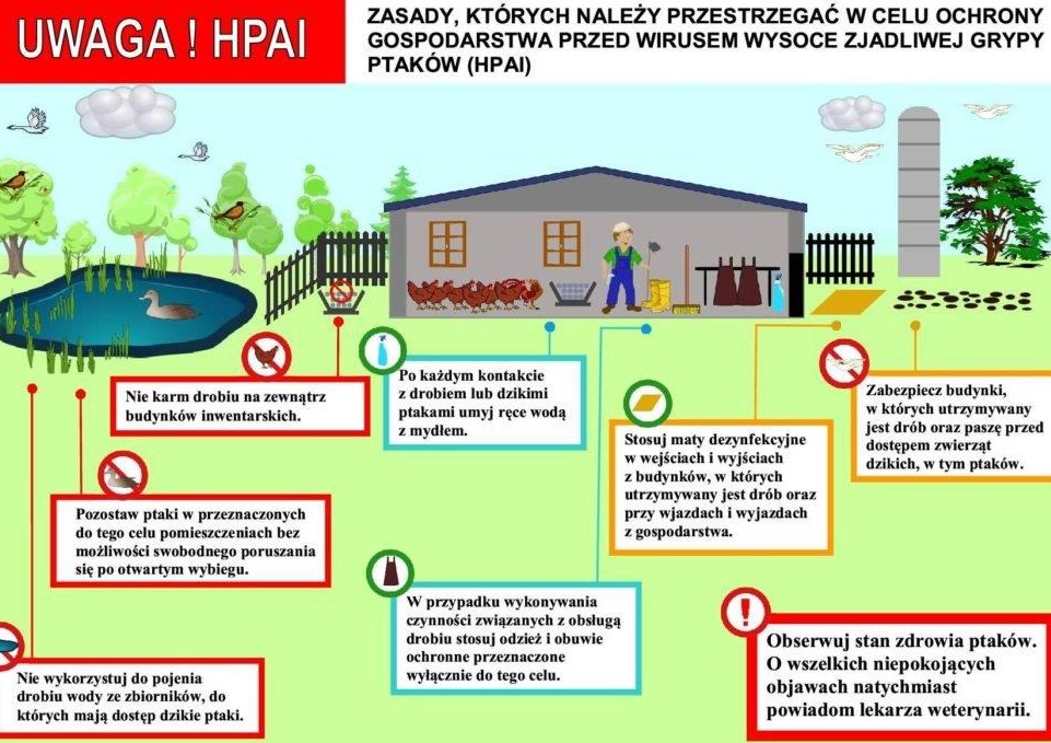 Ulotka_informacyjna_o_grypie_ptakow.jpg