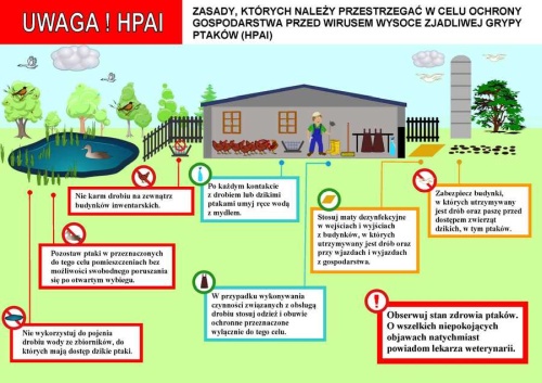 HPAI_1.jpg