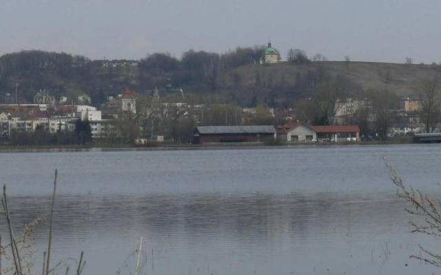 morzepinczowskie.jpg