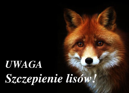 szczepienielisy.jpeg