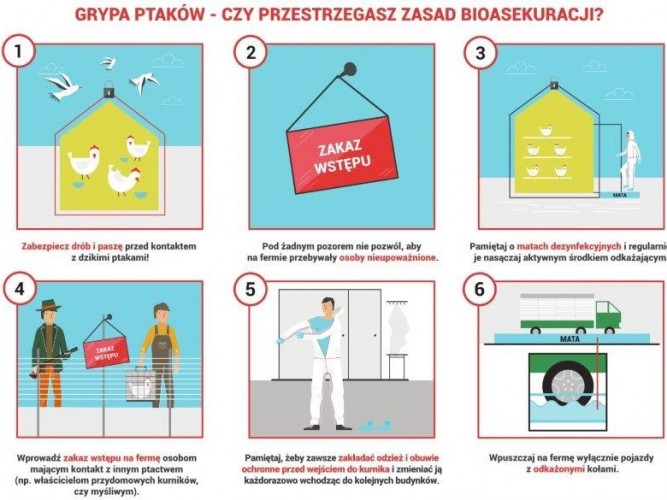 zal_nr_1_zasady_bioasekuracji.jpg